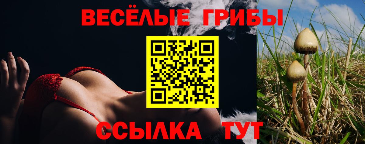 Псилоцибиновые грибы мухоморы Новокубанск