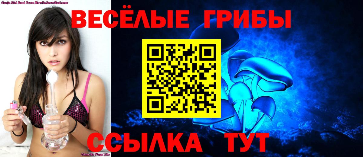 Новокубанск  Псилоцибиновые грибы MAGIC MUSHROOMS  Вход с VPN 